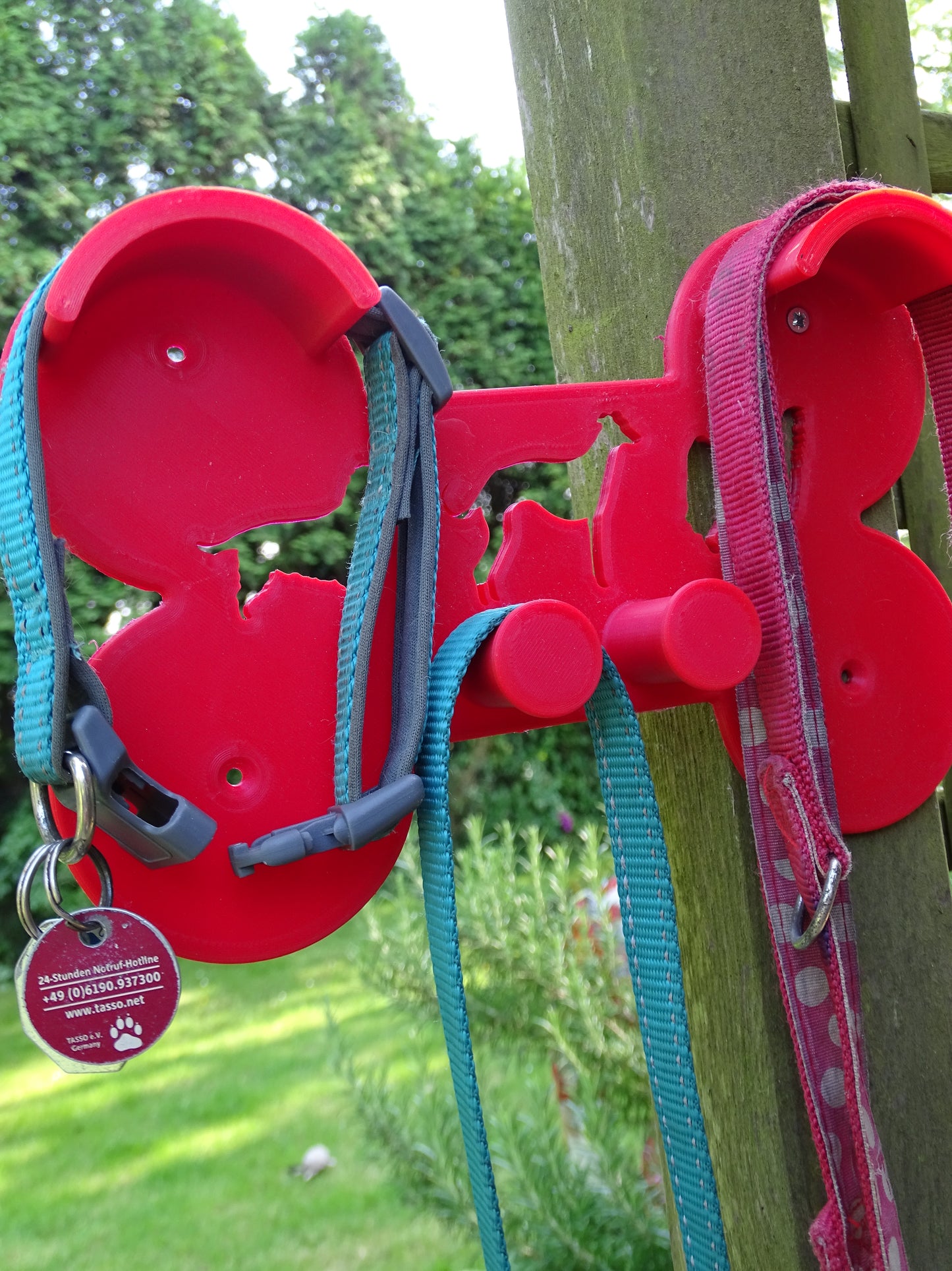 Hundehalsbandhalter Knochen